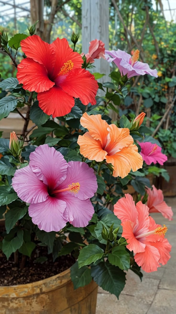 Flowering Plants